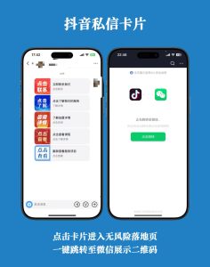 抖音卡片生成插件源码-资源狗