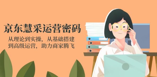 (14248期)京东慧采运营密码:从理论到实操,从基础搭建到高级运营,助力商家腾飞-D先生轻创