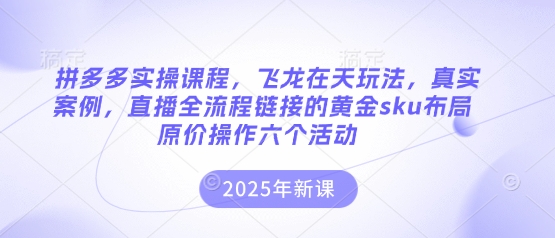 拼多多实操课程，飞龙在天玩法，真实案例，直播全流程链接的黄金sku布局原价操作六个活动-D先生轻创