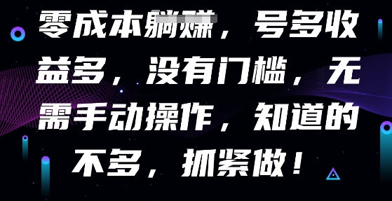 零成本全自动，号多收益多，没有门槛，无需手动-D先生轻创