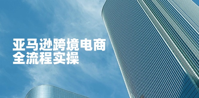 (14252期)亚马逊跨境电商全流程实操,教你从零开始,掌握店铺运营与广告技巧-D先生轻创
