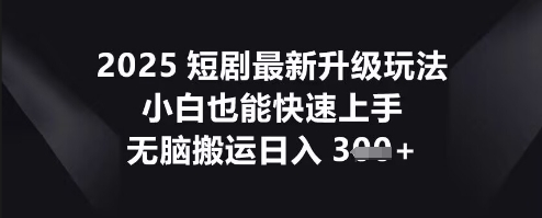 2025短剧最新升级玩法，小白也能快速上手，无脑搬运日入3张-D先生轻创
