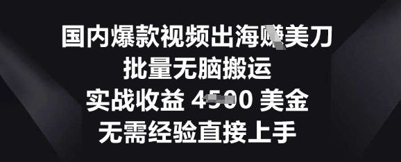 国内爆款视频出海挣美刀，批量无脑搬运，实战收益4.5k，无需经验直接上手-D先生轻创