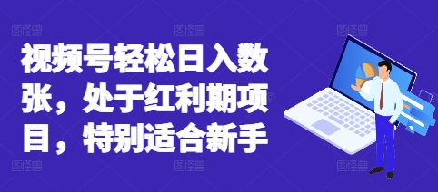 视频号轻松日入数张，处于红利期项目，特别适合新手-D先生轻创