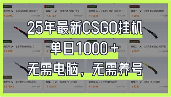 （14178期）25年最新CSGO挂机系统，单日1000+，无需电脑，无需养号，0基础可上手-D先生轻创