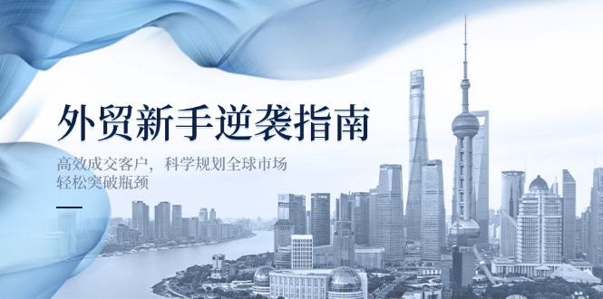 (14201期)外贸新手逆袭指南:高效成交客户,科学规划全球市场,轻松突破瓶颈-D先生轻创