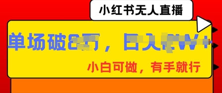 小红书无人直播,纯小白可做,有手就行,单场直播销售额破8w-D先生轻创