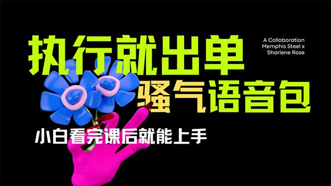 （14170期）爆火全网的开车导航骚气语音包,只要执行就出单，小白看完课程就能实操...-D先生轻创