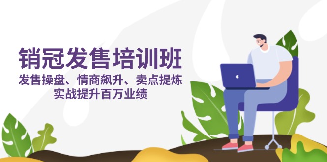 (14203期)销冠 发售培训班:发售 操盘+情商 飙升+卖点 提炼,实战提升百万业绩-D先生轻创