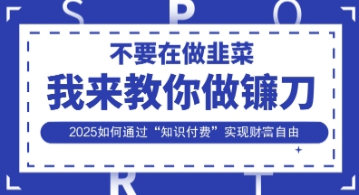 韭菜生涯终结者,我来教你做镰刀,2025如何通过“知识付费”实现财F自由【揭秘】-D先生轻创