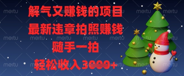 解气又挣钱的项目,最新违章拍照挣钱,随手一拍,轻松收入数张【揭秘】-D先生轻创
