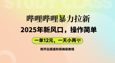 哔哩哔哩暴力拉新：2025年新风口，一单12元，一天数张(附开白渠道和保姆级教程)-D先生轻创